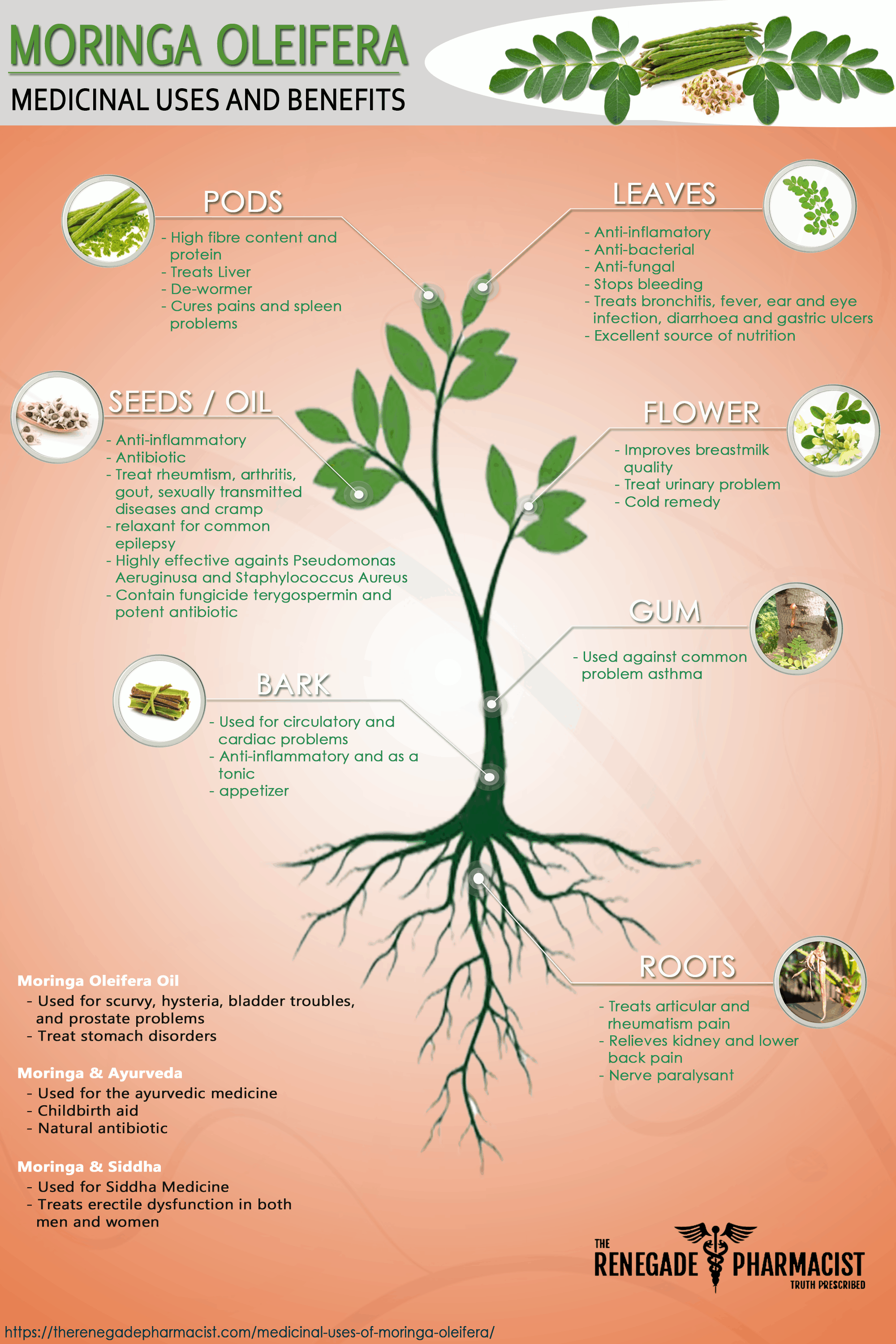 health benefit of moringa
